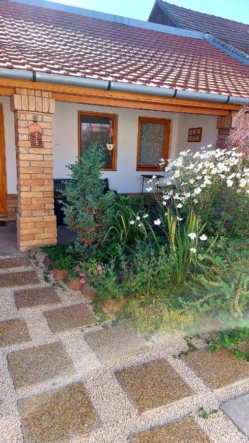 Mandula Apartman Сегед Экстерьер фото